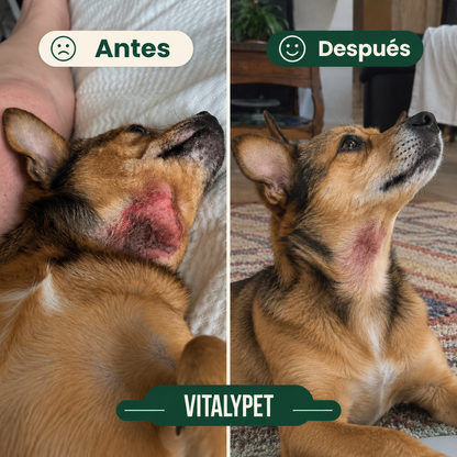 VitalyPet – Devuélvele su tranquilidad