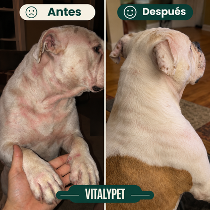 VitalyPet – Devuélvele su tranquilidad